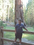 Sequoia2000_11.JPG