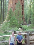Sequoia2000_13.JPG