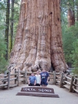 Sequoia2000_14.JPG