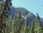 Yosemite2000_28.JPG