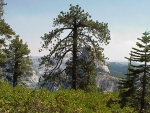 Yosemite2000_64.JPG