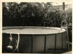1966-Pool in Levittown .jpg