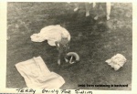 1966-Terry swimming in backyard.jpg