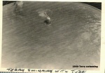 1966-Terry swimming.jpg