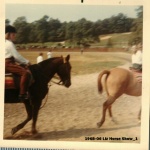 1968-06 Liz Horse Show_1.jpg