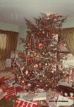 1973-12 Christmas.jpg