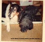 1975-01 Mickey & Sammy Before and after haircuts_1.jpg