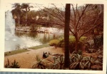1977-02 Busch Gardens_10.jpg