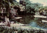 1978-03 Busch Gardens_2.jpg