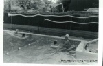 1977-08 Everyone using Moms pool_06.jpg