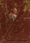 1980-05 Grand Kids at Moms, Stacey climbing tree.jpg