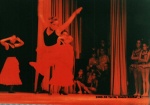 1980-06 Terrie, Dance Recital _1.jpg