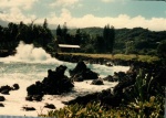 1980-11 Trip to Hawaii_088.jpg