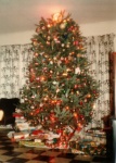 1980-12 Christmas Tree_1.jpg