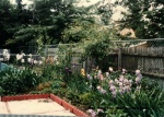 1983- Moms Pics, Moms beautiful garden_4.jpg