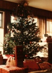 1984- Moms Pics, Christmas tree.jpg