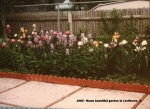 1985- Moms beautiful garden in Levittown_3.jpg