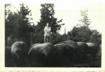 1943-09 Marge & Pigs, Mapleview.jpg