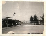 1958- Summer Levittown pool.jpg